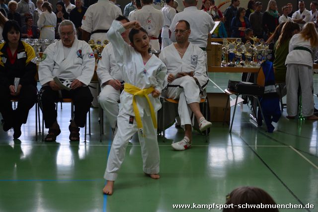 German_Open _Giebelstadt_2014_10.jpg